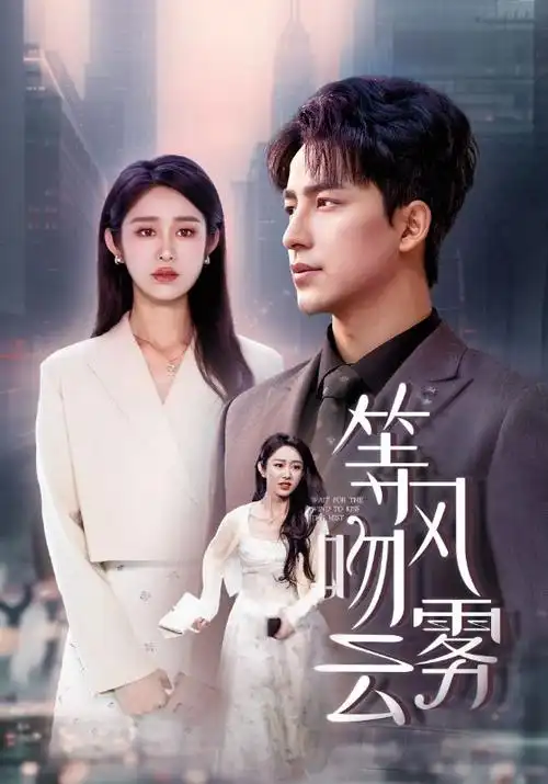 777影视热播古装权谋剧长夜执灯人海报